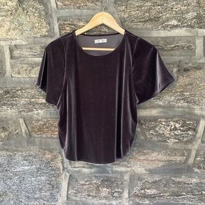 Madewell velvet butterfly top